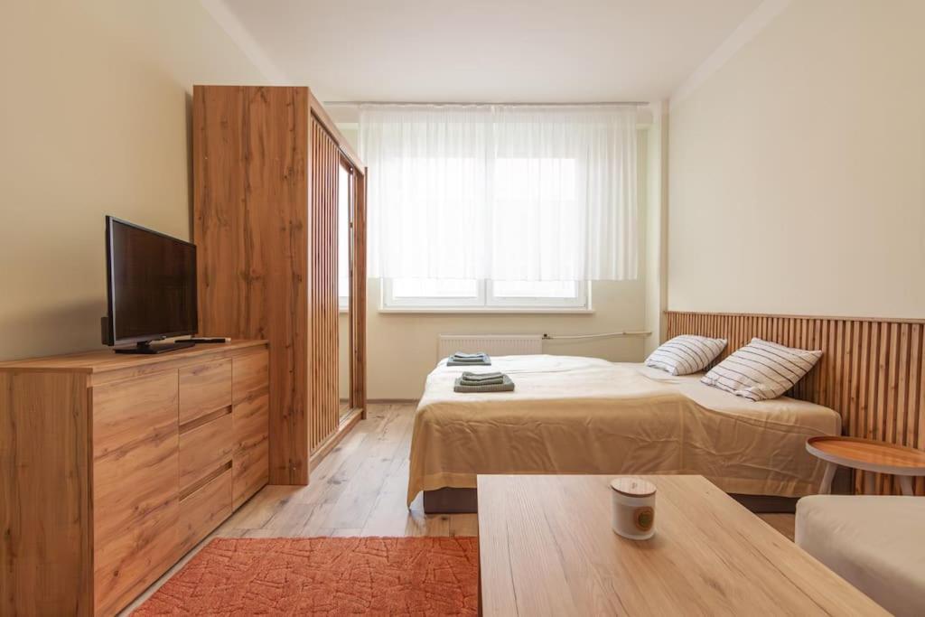 Vysoka Apartman Emf/Stp براتسيلافا المظهر الخارجي الصورة
